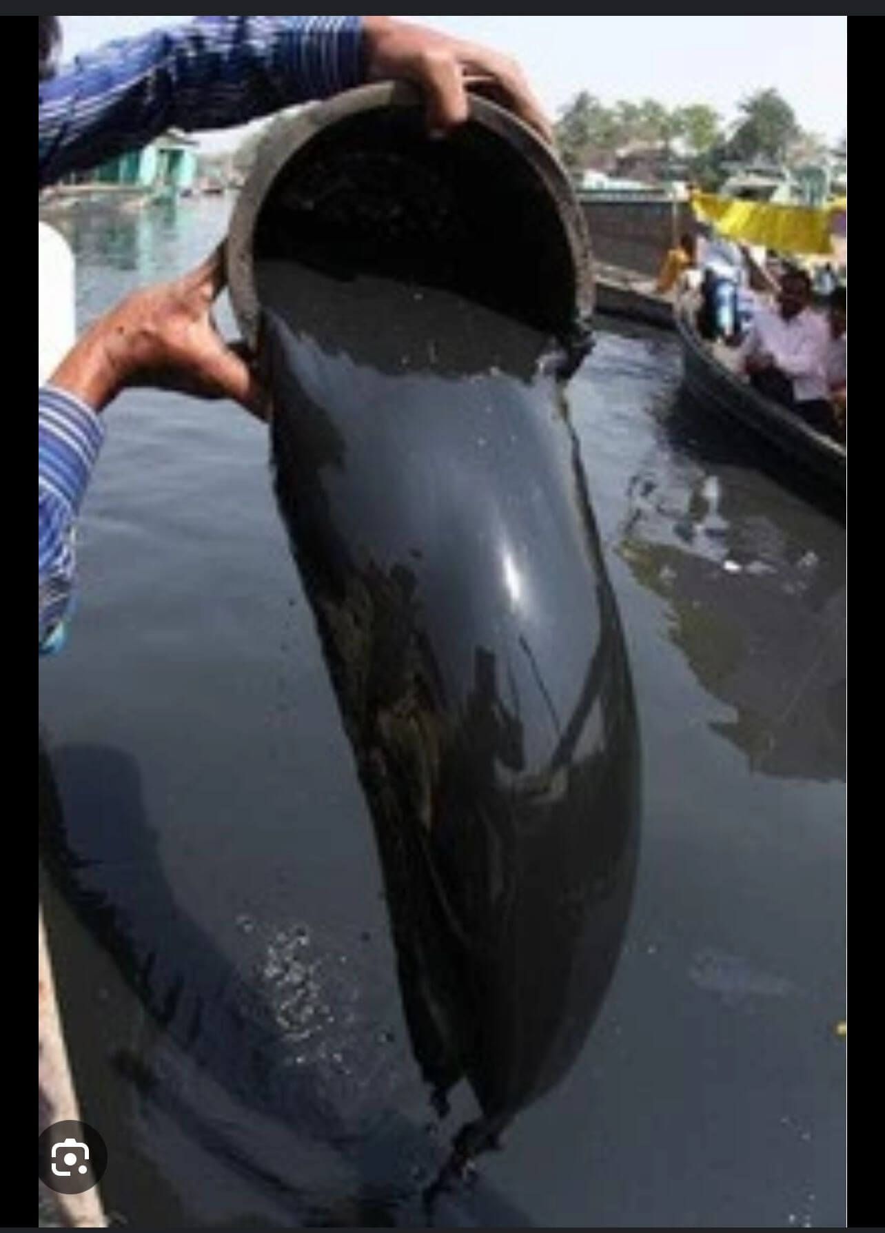 Bonny light crude oil